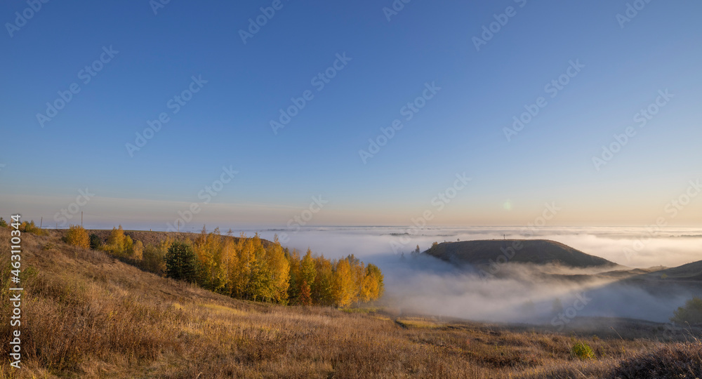 Autumn landscape with early morning fog. Birch trees with bright yellow foliage illuminated by the sun. Trees and hills in the fog. Dawn on a cold autumn morning.