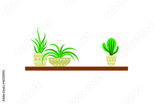 Vector Home Plants Set on a Shelf Isolated on White Background, Icons, Plants in Pots, Vector Illustration.