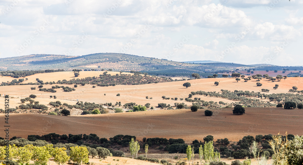 Autumn landscapes of the spanish countryside