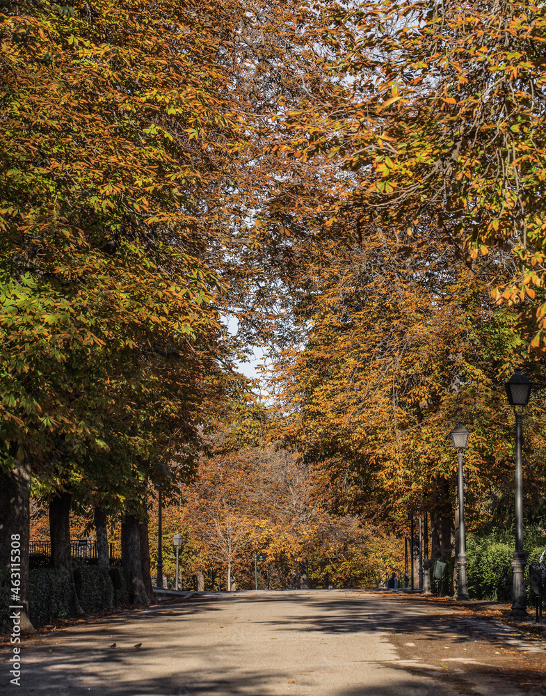 Autumn landscapes with its reddish, yellow and orange colours 