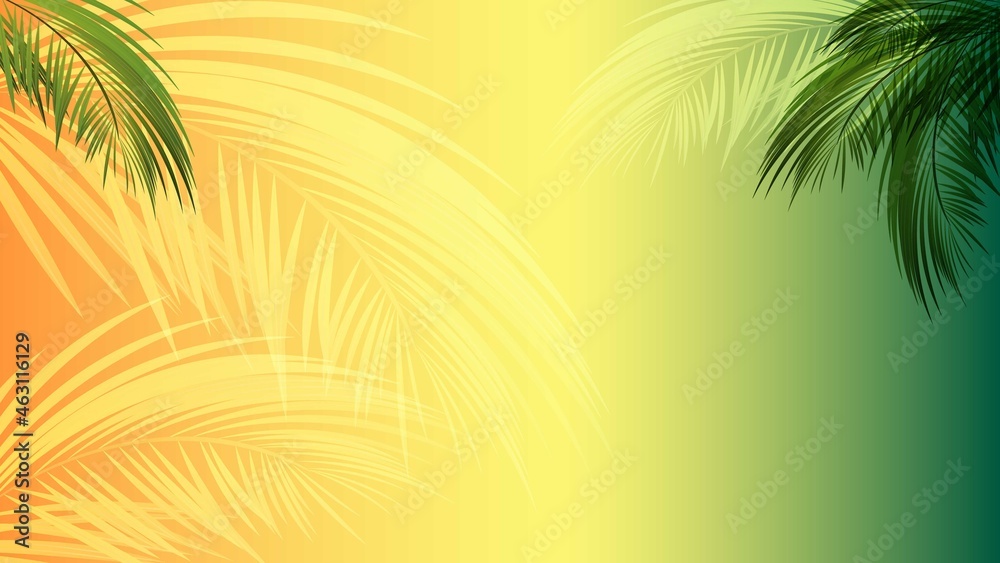 Vector palm tree on a sunset background