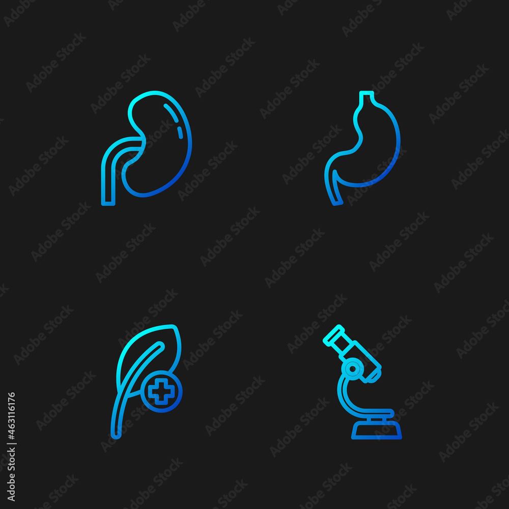 Fototapeta premium Set line Microscope, Leaf or leaves, Human kidney and stomach. Gradient color icons. Vector