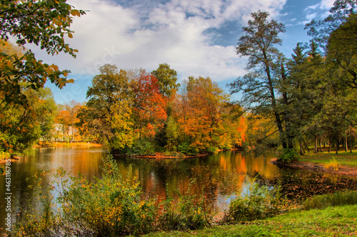 Fototapeta Naklejka Na Ścianę i Meble -  Autumn landscape on Elagin Island in St. Petersburg