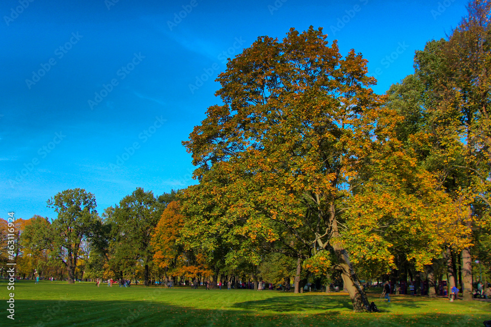 Autumn landscape in the Mikhailovsky Garden in St. Petersburg
