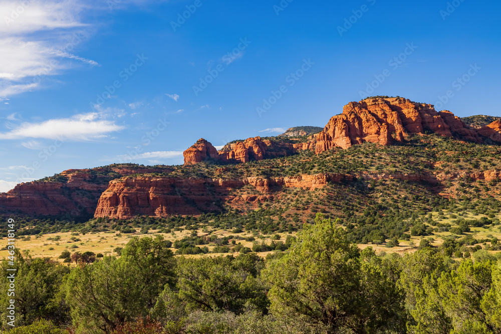Fototapeta premium Sunny landscape of Sedona