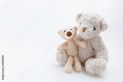 Love, families, valentine concept. Big teddy bears hug baby teddy bears isolated on the white background with copy space.