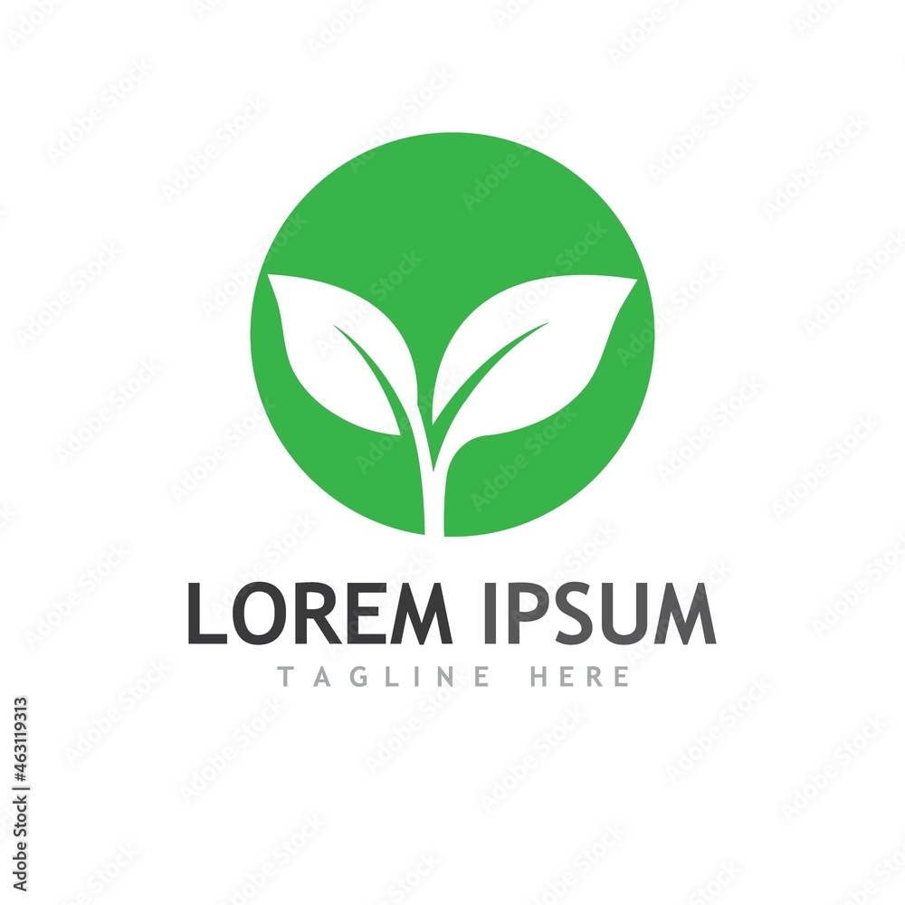 leaf logo and vector images leaf logo and vector images