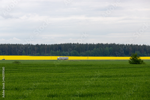 road with a truck moving along it between a green and yellow field
