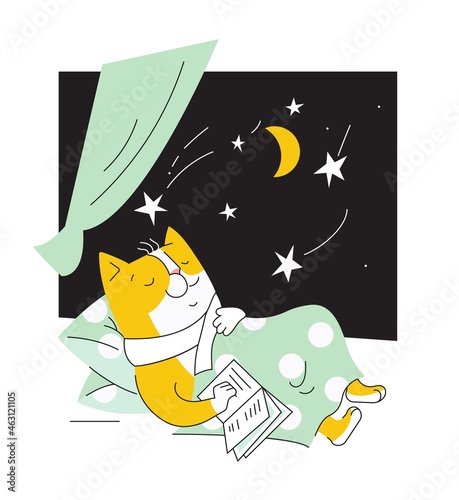 Canvas Print dreamer cat  is sleeping with a book