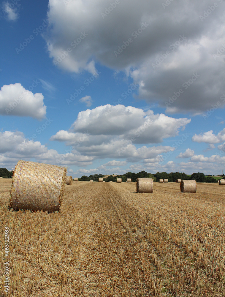 Round straw bales in a field on a hot summer's day Near Wakefield West Yorkshire UK 