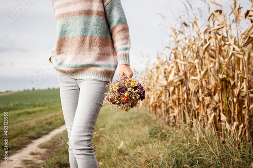 Woman with knitted sweater holding bouquet of dried flowers outdoors. Herbs and blossom dried plant in female hands. Rural scenery