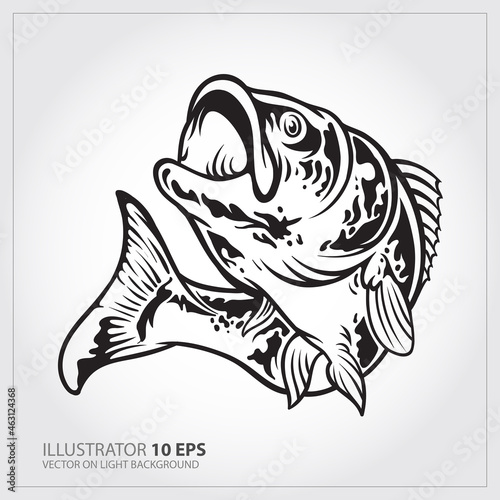 Vector Illustration of a largemouth bass fish jumping  in white background done in retro style.