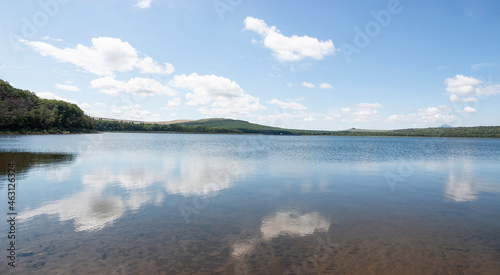 A lonely pine tree. Relict salt lake Tambukan. The place of extraction of therapeutic mud. Stavropol Territory  Russia