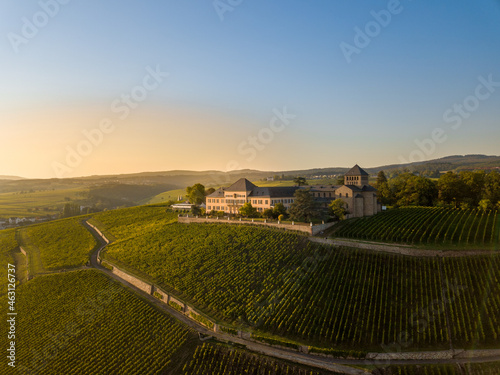 Luftaufnahme mit Drohne im Rheingau bei den Weinbergen von Schloss Johannisberg zwischen Eltville und Rüdesheim am Rhein, Hessen Deutschland photo