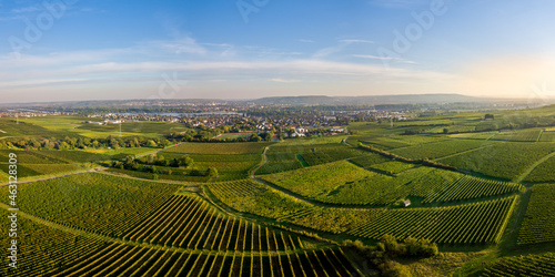 Luftaufnahme mit Drohne der Weinberge zwischen, Rüdesheim, Eltville und Ostrich Winkel im Rheingau, Hessen Deutschland photo