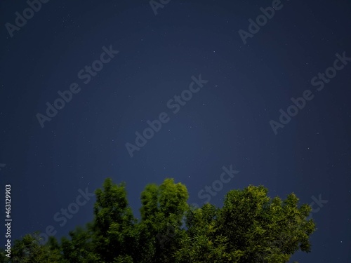 Tree and night sky with stars in Chaska, Minnesota