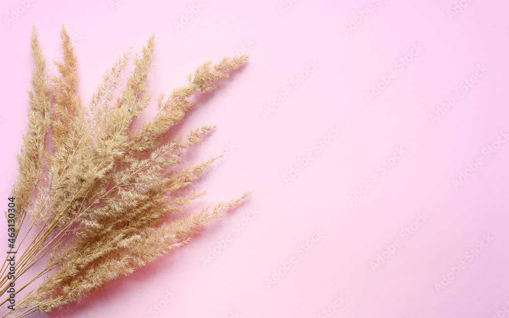 A bouquet of dry wild herbs lies on a pink background. On the right is an empty free space. A bouquet of dry wild herbs lies on a pink background. On the right is an empty free space.
