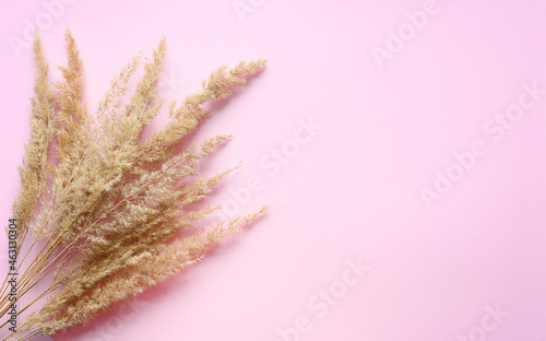 A bouquet of dry wild herbs lies on a pink background. On the right is an empty free space.