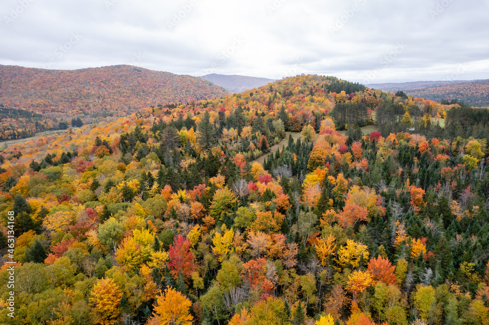 autumn landscape in the mountains of Vermont