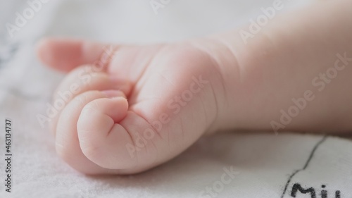 Picture of a tiny hand of an infant baby. Macro shot of a childs palm, cute fingers.