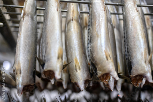 Mackerel carcasses hang in a special metal container.