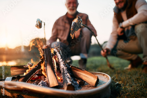 Photography Close-up of father and son prepare fish over campfire while camping in nature