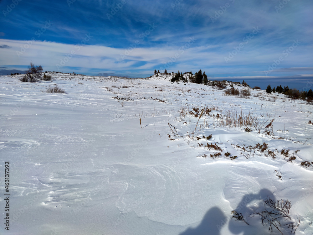 Amazing Winter panorama of Vitosha Mountain, Bulgaria