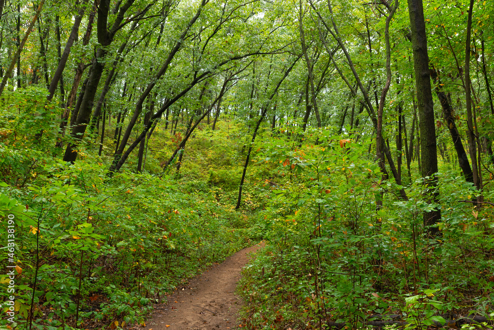 Obraz premium Hiking Trail.