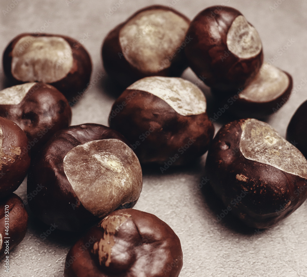 Obraz premium Chestnut background for banner concept
