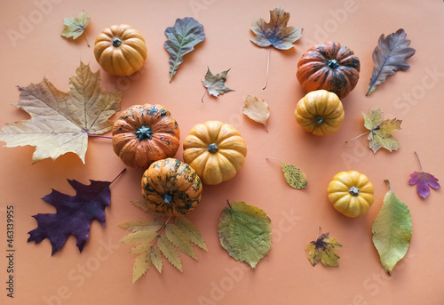 Pumpkins and leaves. Top view. Autumn still life on an orange background.