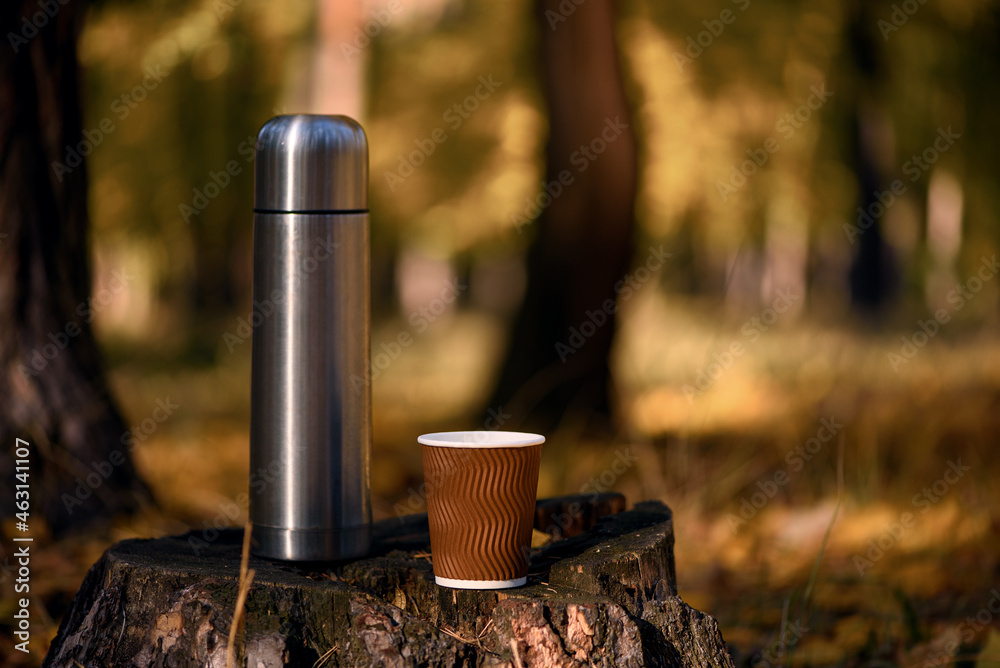 Thermos and disposable paper coffee cup on old tree stump in calm autumn forest.
