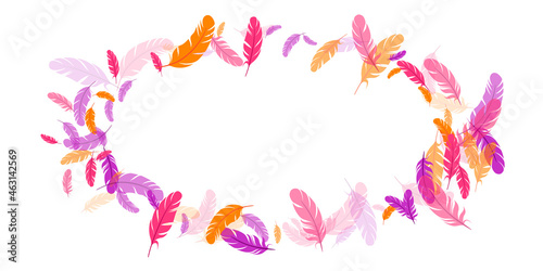 Orange purple pink red feather floating background