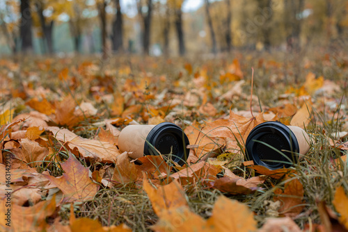 An empty paper coffee cup lies on the ground in the park. Environmental pollution