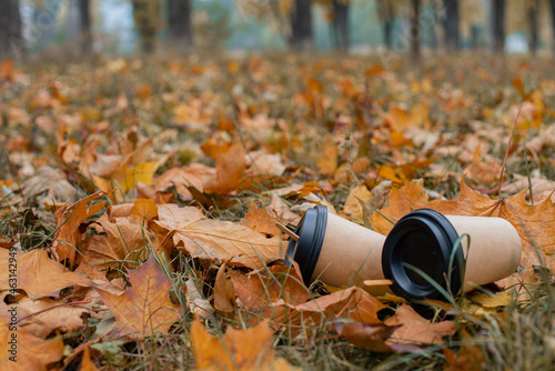 An empty paper coffee cup lies on the ground in the park. Environmental pollution