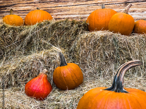 Autumn decoration. Orange pumpinks laying in hay with decorative rustic wood in the background.