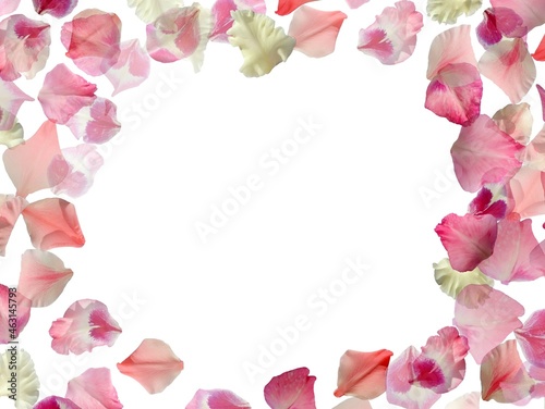 Frame made of pink petals on white background. Flat lay, top view, place for text