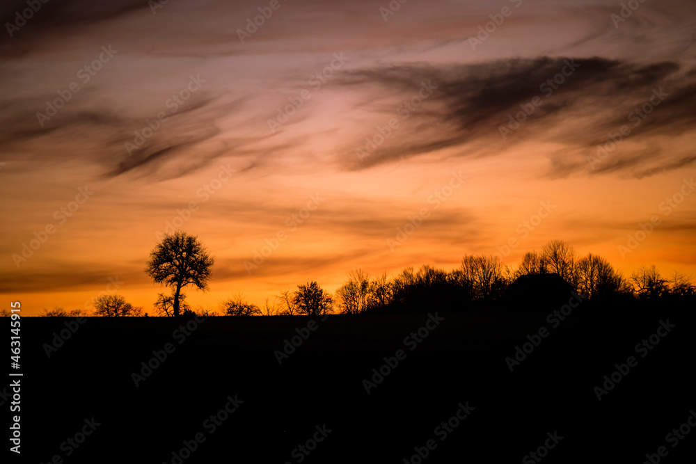 Beautifull sunset at the hill with trees