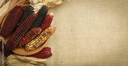 Decorative Indian corn on yuta fabric background. Multi Colored flint corn. photo