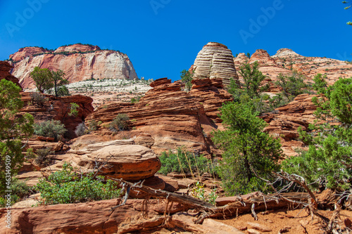 Zion National Park