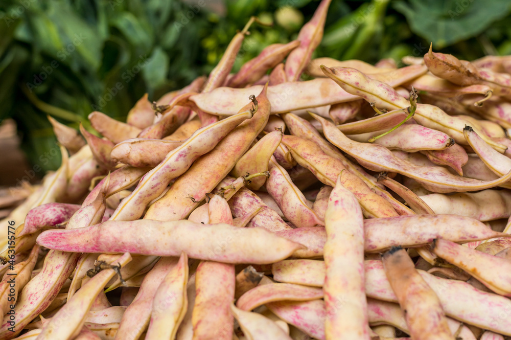 Pile of freshly harvested beans pods at farmers market. Heap of freshly picked kidney pods. Organic food concept