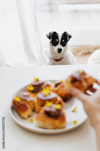 Homemade cinnamon rolls