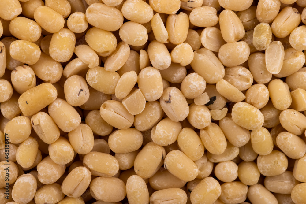 Urad Whole Dal White Top Angle Flat-lay  Background or Texture Macro or Micro image