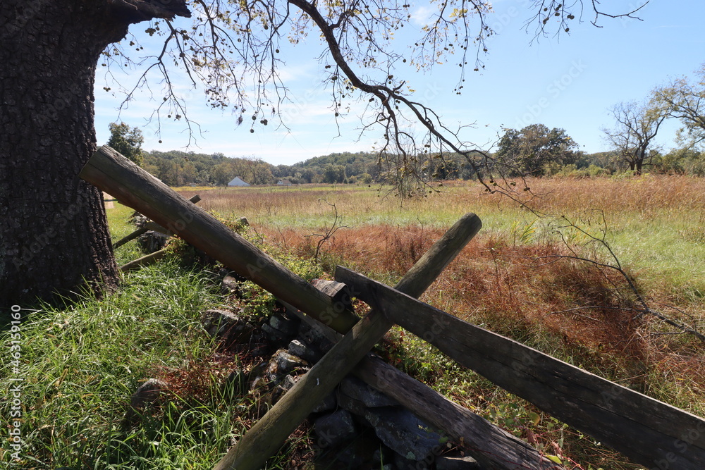 Fototapeta premium stock photos 1