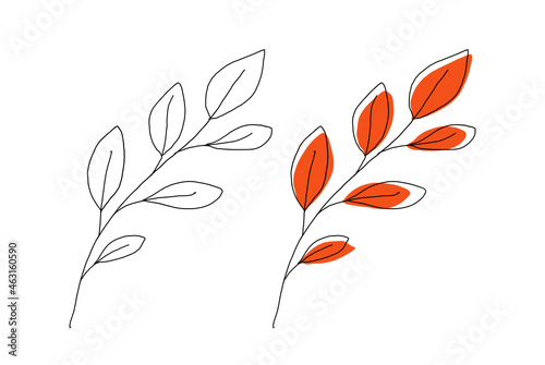 Leaves set. Isolated hand drawn illustration, doodles style on white background