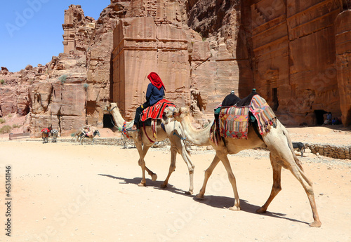camels in historic city © Zeina