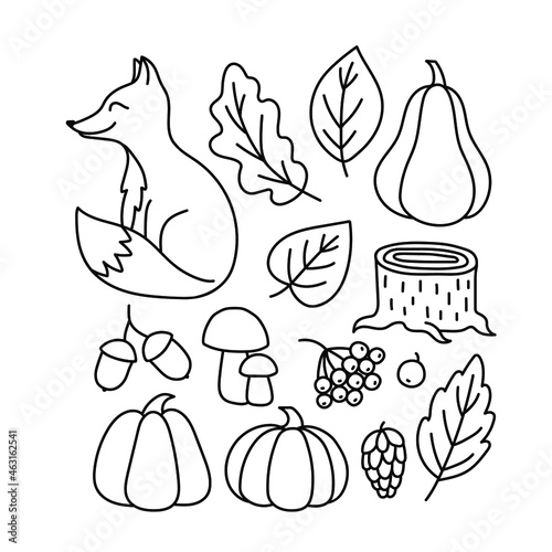 A set of autumn drawings. Contour image of a fox, pumpkin, mushrooms, fallen leaves, a stump, berries. black drawing of autumn forest plants and animals for stickers, decor, postcards. Vector clipart
