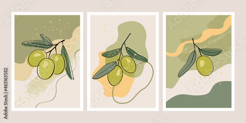 Set of posters with trend shapes and hand drawn line olive branches. Botanica...