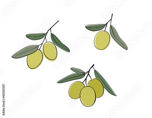 Olive hand drawn branch with green olives isolated on white background. Flat style vector illustration with black line