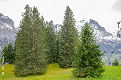 Gletscherdorf Grindelwald ,Heimat von Eigernordwand und Bergführern. Ferienort für Wanderer und Wintersportler. Mit Hotels, Restaurants, Hütten und Bars photo