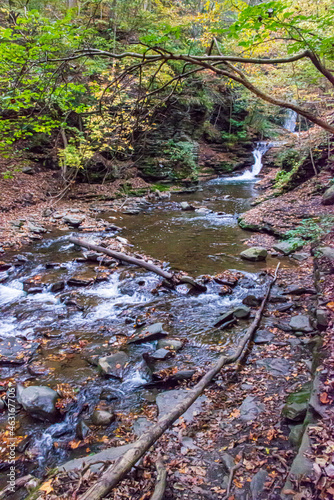 Deckertown Falls with stream photo